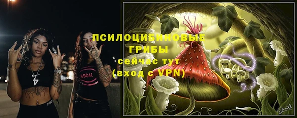 ALPHA PVP Кулебаки