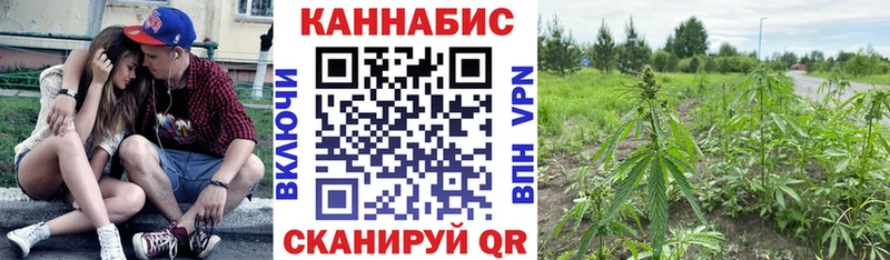 это Telegram  Среднеколымск  Конопля семена 
